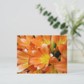 Clivia Miniata Postkarte (Stehend Vorderseite)