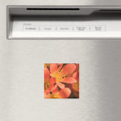 Clivias Pflanze Magnet (In Situ (Geschirrspüler))