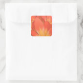 Clivias-Pflanze Quadratischer Aufkleber (Tasche)
