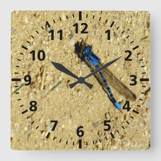 Clock - Blue Dragonfly Quadratische Wanduhr (Vorderseite)