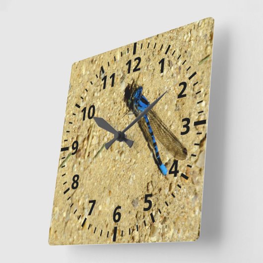 Clock - Blue Dragonfly Quadratische Wanduhr (Winkel)