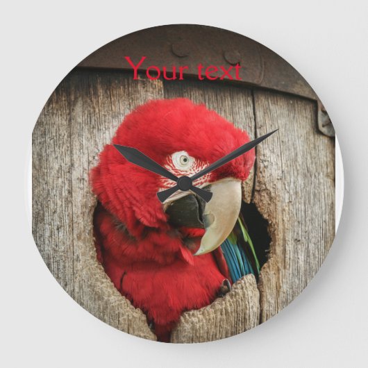 Clock with green wing macaw parrot in Barrel Große Wanduhr (Vorderseite)