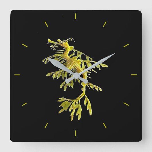 Clock with Leafy Sea Dragon Seahorse Quadratische Wanduhr (Vorderseite)