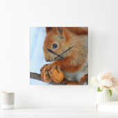 clock with squirrel quadratische wanduhr (Zuhause)