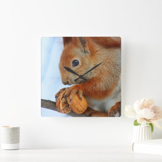 clock with squirrel quadratische wanduhr (Zuhause)
