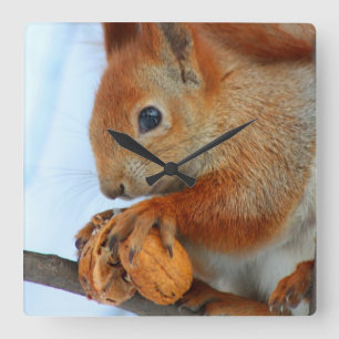 clock with squirrel quadratische wanduhr