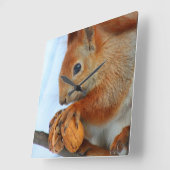 clock with squirrel quadratische wanduhr (Winkel)