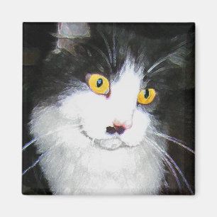 CLOE MAGNET