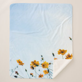 Close shot of yellow flowers sherpadecke