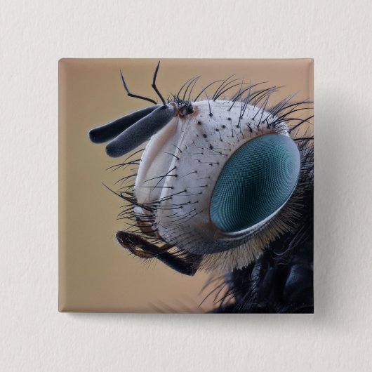 Close-up Insect Head Button (Vorderseite)