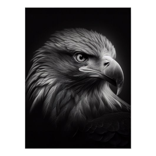 Close-up moody portrait of eagle's face poster (Vorderseite)