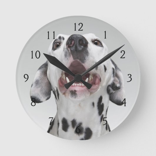 Close up of a Dalmatian dog Runde Wanduhr (Vorderseite)