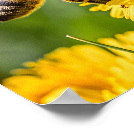 Close Up of a Honeybee Collecting Nectar Poster (Ecke)