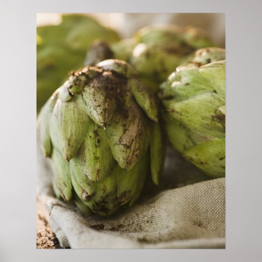 Close up of artichoke poster (Vorne)