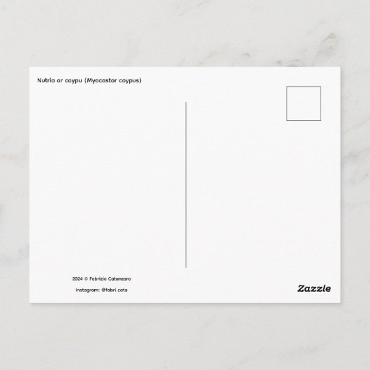 Close-up of baby nutria (Myocastor coypus) on fiel Postkarte (Rückseite)
