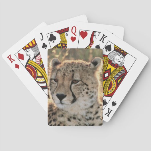 Close-up of Cheetahs Spielkarten (Rückseite)