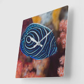 Close-up of Emperor Angelfish Quadratische Wanduhr (Winkel)