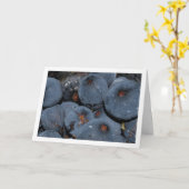 Close-up of Fig Fruit Karte (Gelbe Blume)