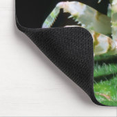 Close-Up Of Hottentot Mantis Mousepad (Ecke)