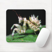 Close-Up Of Hottentot Mantis Mousepad (Mit Mouse)