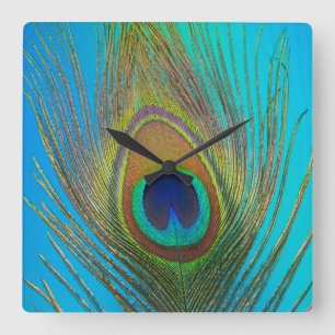 Close up of peacock feather quadratische wanduhr