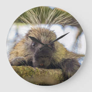 Close-up of porcupine in a tree große wanduhr