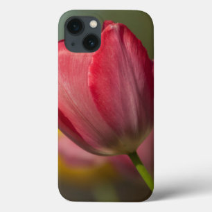 Close-up of red and yellow tulips in garden Case-Mate iPhone hülle
