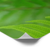 Close-up of sword fern poster (Ecke)