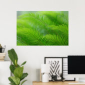 Close-up of sword fern poster (Heimbüro)