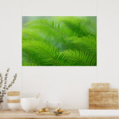 Close-up of sword fern poster (Küche)