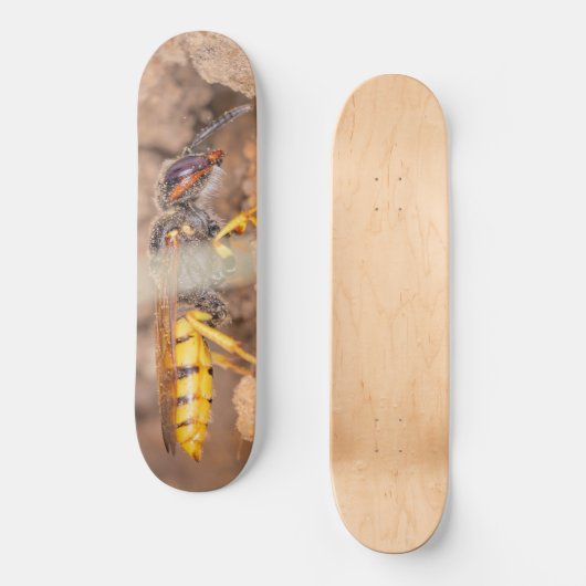 Close-up photograph of a wasp skateboard (Vorderseite)