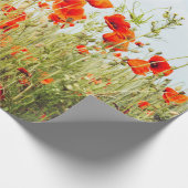 Close up poppies on field. Wild flowers in springt Geschenkpapier (Ecke)