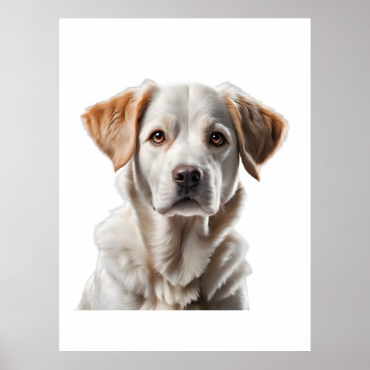 Close-Up Portrait of a Sweet-Faced Dog Poster (Vorne)
