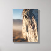 Close-Up White Horse Sunrise Portrait Leinwanddruck (Vorderseite)