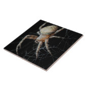 Close Up Wonder: European Garden Spider Fliese (Seite)