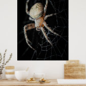 Close Up Wonder: European Garden Spider Poster (Küche)