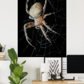 Close Up Wonder: European Garden Spider Poster (Heimbüro)