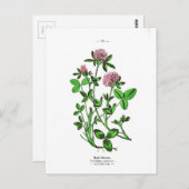 Closed Vintag Botanical Print Postkarte (Vorne/Hinten)
