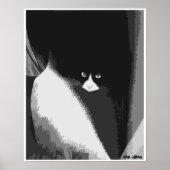 Closet Cat Poster (Vorne)