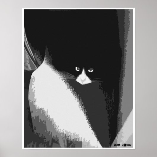 Closet Cat Poster (Vorne)