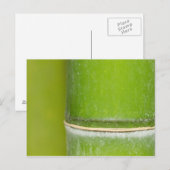 Closeup Bamboo Stalk Postkarte (Vorne/Hinten)