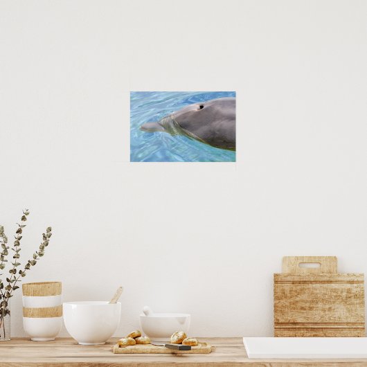 Closeup Bottlenose Delphin Poster (Küche)