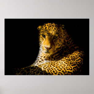 CLOSEUP FOTO LEOPARD POSTER