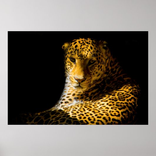 CLOSEUP FOTO LEOPARD POSTER (Vorne)
