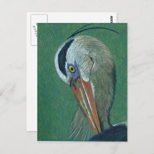 Closeup Heron Postkarte (Vorne/Hinten)