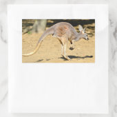 Closeup Kangourorou Wanderurlaub Postkartenposter Rechteckiger Aufkleber (Tasche)