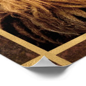 Closeup Lion Foto Poster (Ecke)