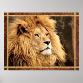Closeup Lion Foto Poster
