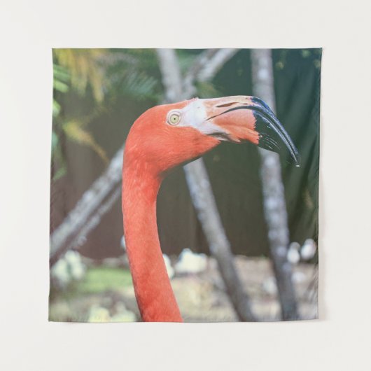 Closeup photography of red long-neck bird wandteppich (Vorderseite)