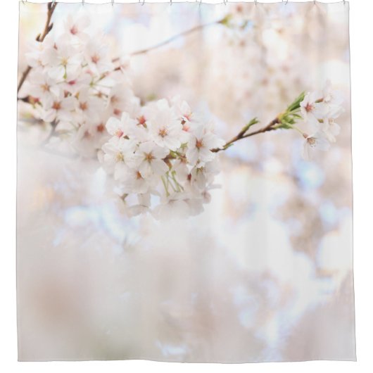 CLOSEUP PHOTOGRAPHY WHITE CHERRY BLOSSOMS DUSCHVORHANG (Vorderseite)